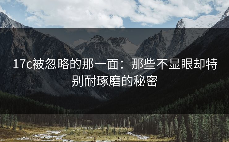 17c被忽略的那一面：那些不显眼却特别耐琢磨的秘密