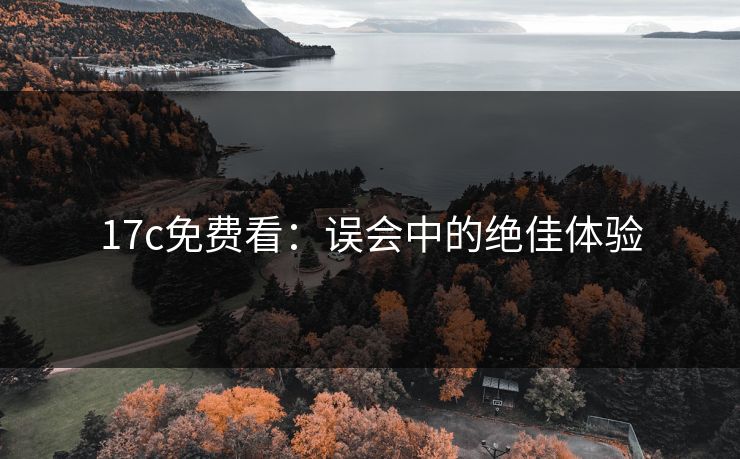 17c免费看：误会中的绝佳体验