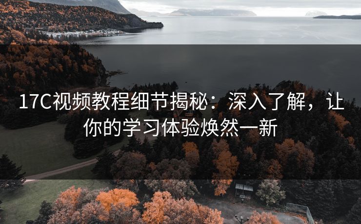 17C视频教程细节揭秘：深入了解，让你的学习体验焕然一新