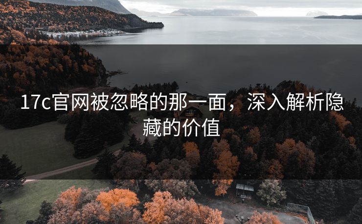 17c官网被忽略的那一面,深入解析隐藏的价值 17c官网被忽略的那一面,深入解析隐藏的价值