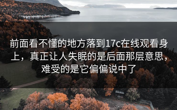 前面看不懂的地方落到17c在线观看身上,真正让人失眠的是后面那层意思,难受的是它偏偏说中了 前面看不懂的地方落到17c在线观看身上,真正让人失眠的是后面那层意思,难受的是它偏偏说中了